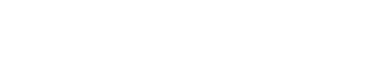 holion logo